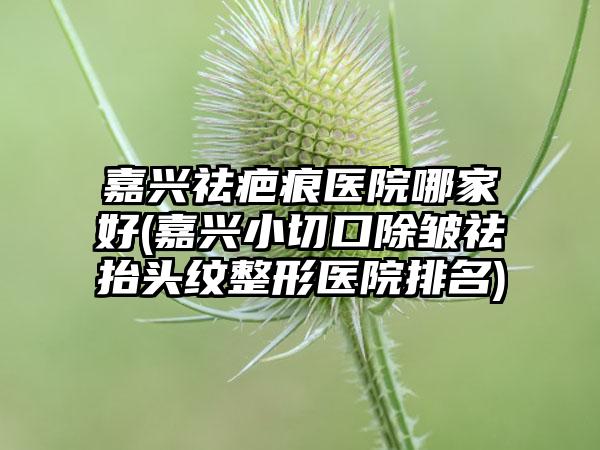 嘉兴祛疤痕医院哪家好(嘉兴小切口除皱祛抬头纹整形医院排名)