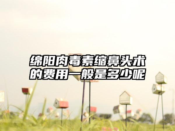 绵阳肉毒素缩鼻头术的费用一般是多少呢