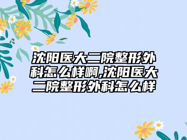 沈阳医大二院整形外科怎么样啊,沈阳医大二院整形外科怎么样