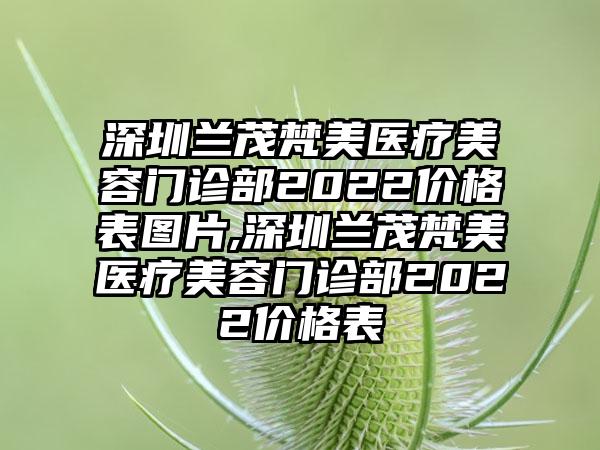 深圳兰茂梵美医疗美容门诊部2022价格表图片,深圳兰茂梵美医疗美容门诊部2022价格表