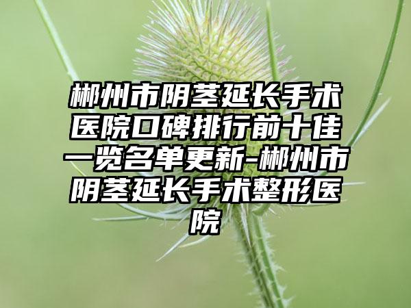 郴州市阴茎延长手术医院口碑排行前十佳一览名单更新-郴州市阴茎延长手术整形医院