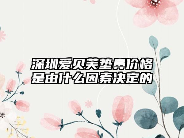 深圳爱贝芙垫鼻价格是由什么因素决定的