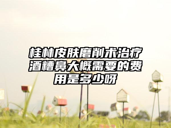 桂林皮肤磨削术治疗酒糟鼻大概需要的费用是多少呀