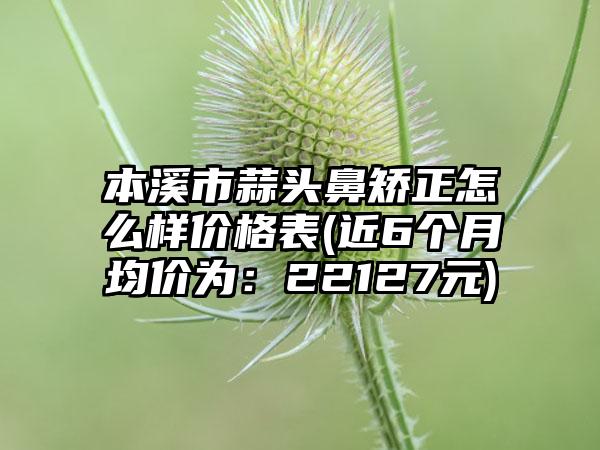 本溪市蒜头鼻矫正怎么样价格表(近6个月均价为：22127元)