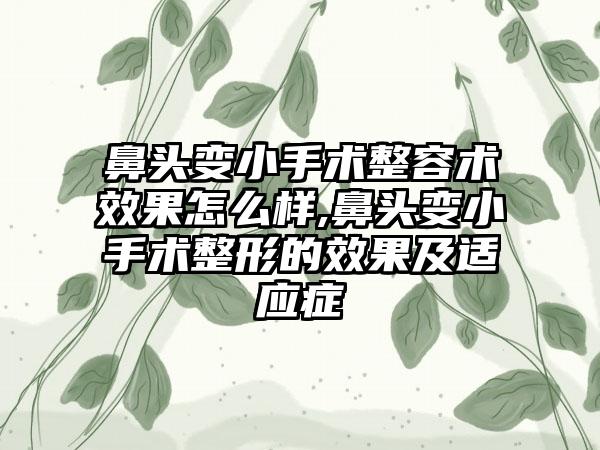 鼻头变小手术整容术成果怎么样,鼻头变小手术整形的成果及适应症