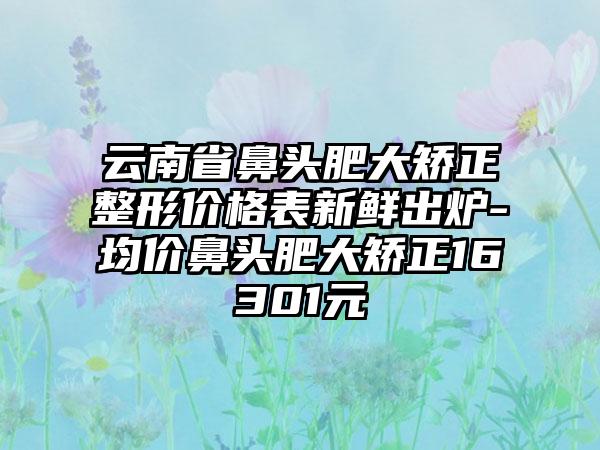 云南省鼻头肥大矫正整形价格表新鲜出炉-均价鼻头肥大矫正16301元