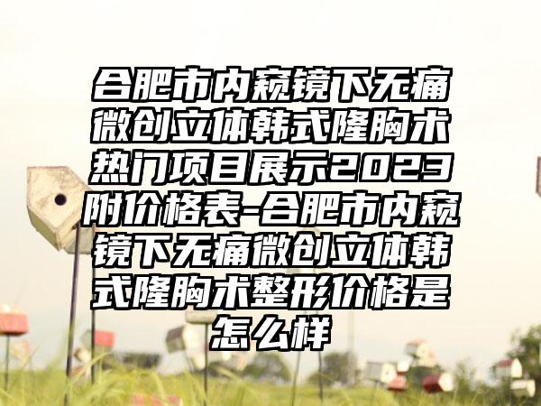 合肥市内窥镜下无痛微创立体韩式隆胸术热门项目展示2023附价格表-合肥市内窥镜下无痛微创立体韩式隆胸术整形价格是怎么样