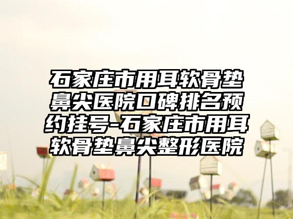 石家庄市用耳软骨垫鼻尖医院口碑排名预约挂号-石家庄市用耳软骨垫鼻尖整形医院