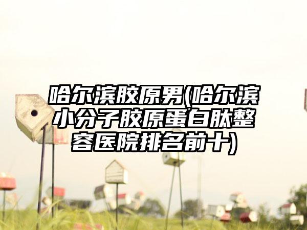 哈尔滨胶原男(哈尔滨小分子胶原蛋白肽整容医院排名前十)