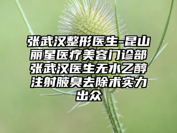 张武汉整形医生-昆山丽星医疗美容门诊部张武汉医生无水乙醇注射腋臭去除术实力出众