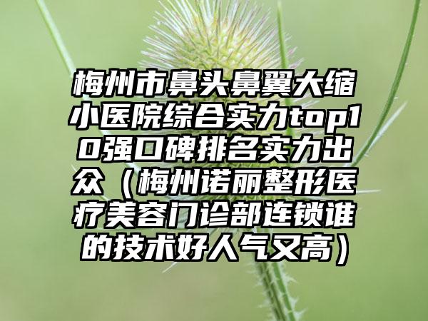 梅州市鼻头鼻翼大缩小医院综合实力top10强口碑排名实力出众（梅州诺丽整形医疗美容门诊部连锁谁的技术好人气又高）