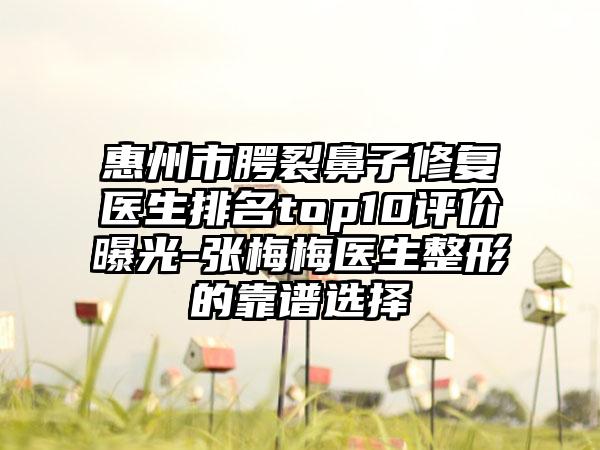 惠州市腭裂鼻子修复医生排名top10评价曝光-张梅梅医生整形的靠谱选择