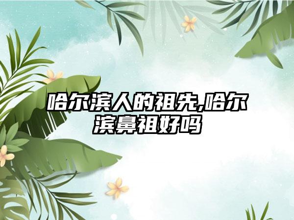 哈尔滨人的祖先,哈尔滨鼻祖好吗