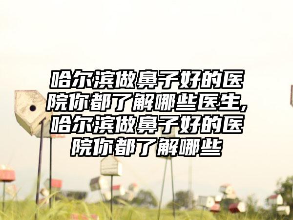 哈尔滨做鼻子好的医院你都了解哪些医生,哈尔滨做鼻子好的医院你都了解哪些