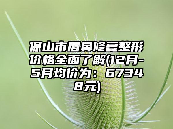 保山市唇鼻修复整形价格多面了解(12月-5月均价为：67348元)