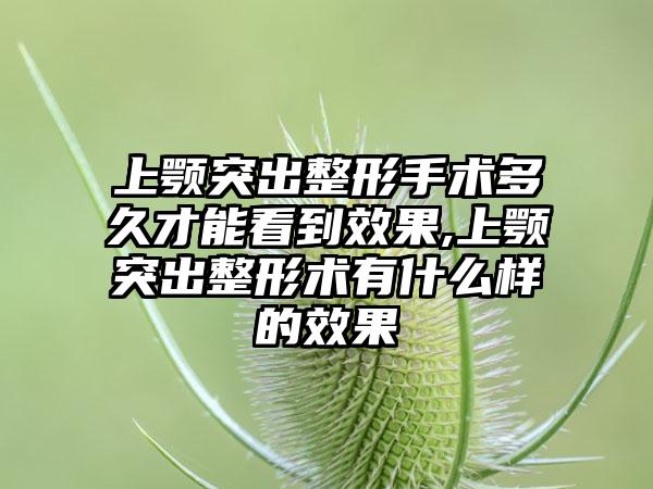 上颚突出整形手术多久才能看到成果,上颚突出整形术有什么样的成果