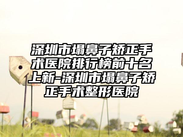 深圳市塌鼻子矫正手术医院排行榜前十名上新-深圳市塌鼻子矫正手术整形医院