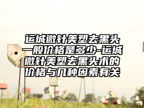 运城微针美塑去黑头一般价格是多少-运城微针美塑去黑头术的价格与几种因素有关