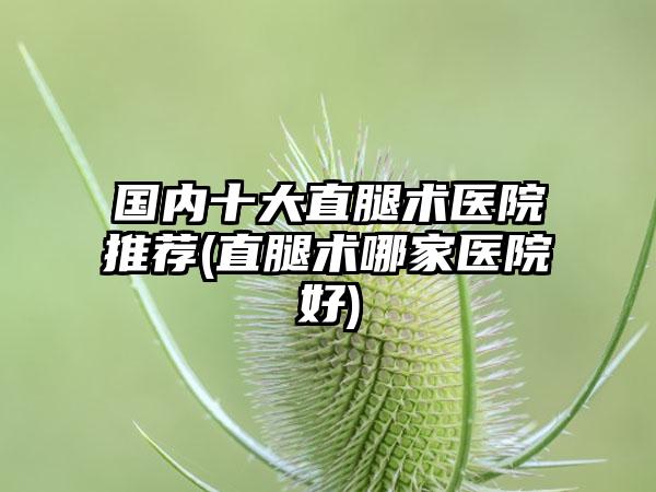 国内十大直腿术医院推荐(直腿术哪家医院好)