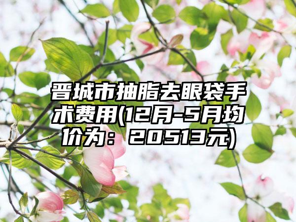 晋城市抽脂去眼袋手术费用(12月-5月均价为：20513元)