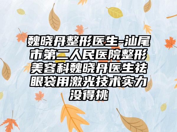 魏晓丹整形医生-汕尾市第二人民医院整形美容科魏晓丹医生祛眼袋用激光技术实力没得挑