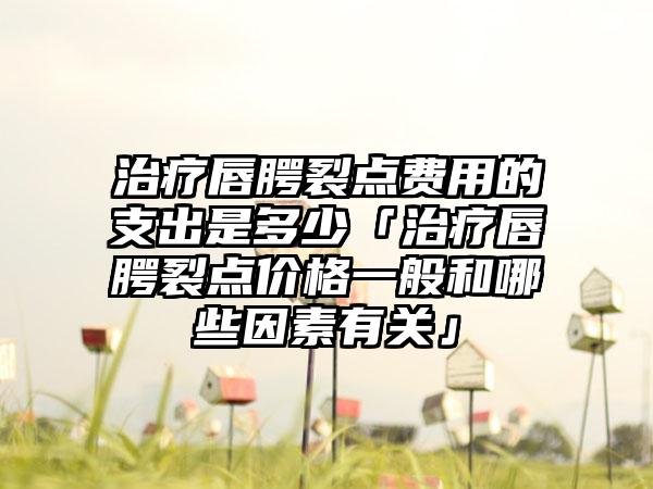 治疗唇腭裂点费用的支出是多少「治疗唇腭裂点价格一般和哪些因素有关」