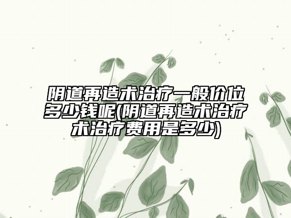 阴道再造术治疗一般价位多少钱呢(阴道再造术治疗术治疗费用是多少)