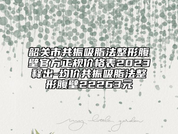 韶关市共振吸脂法整形腹壁官方正规价格表2023释出-均价共振吸脂法整形腹壁22263元