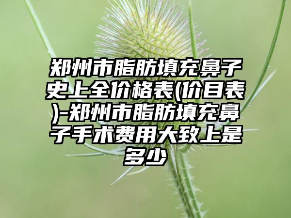 郑州市脂肪填充鼻子史上全价格表(价目表)-郑州市脂肪填充鼻子手术费用大致上是多少