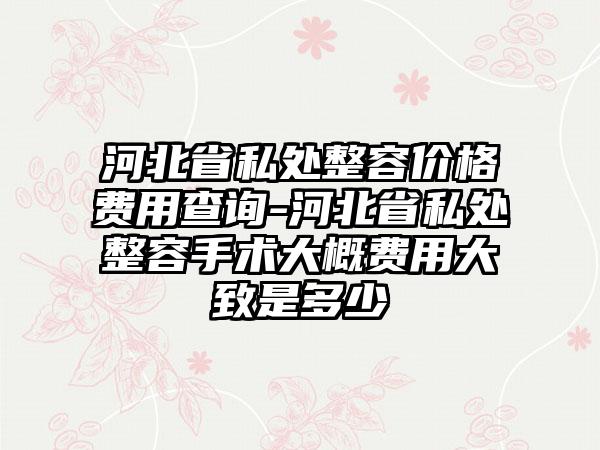 河北省私处整容价格费用查询-河北省私处整容手术大概费用大致是多少