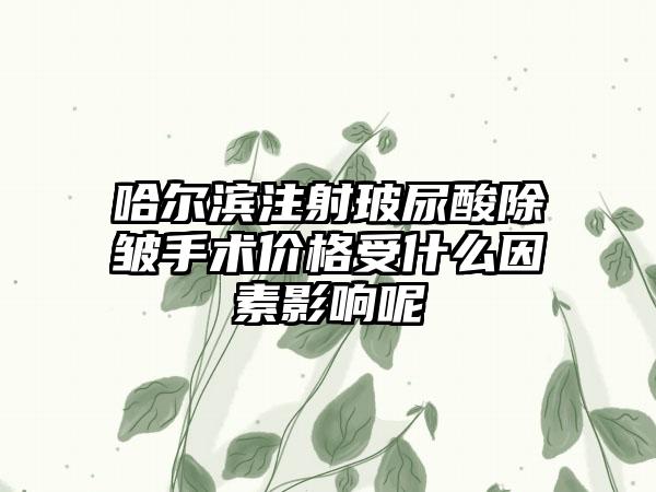 哈尔滨注射玻尿酸除皱手术价格受什么因素影响呢