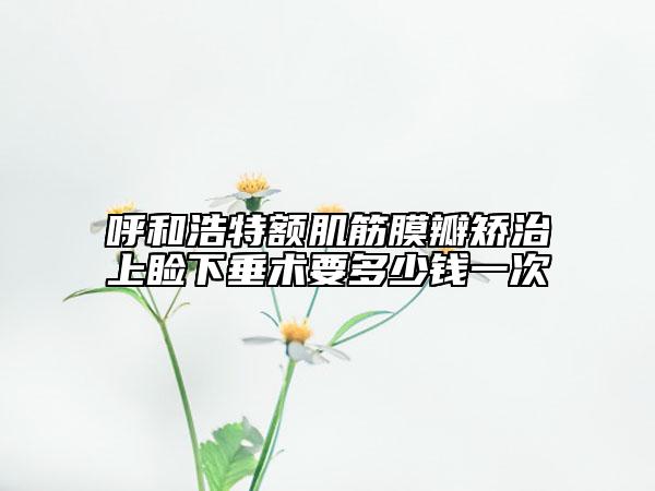 呼和浩特额肌筋膜瓣矫治上睑下垂术要多少钱一次