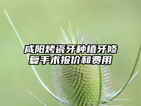 咸阳烤瓷牙种植牙修复手术报价和费用