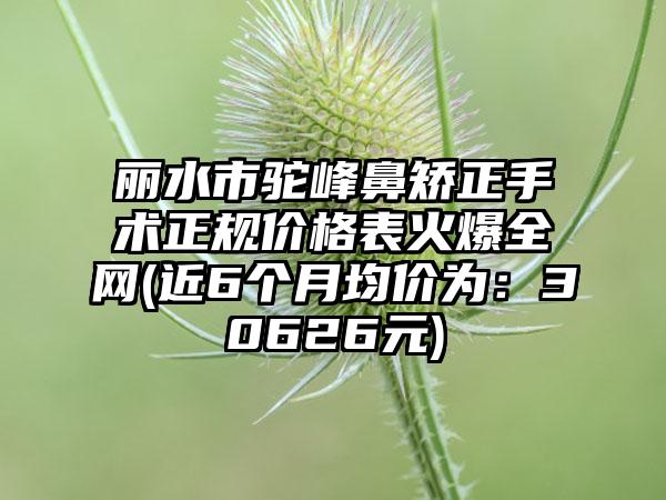 丽水市驼峰鼻矫正手术正规价格表火爆全网(近6个月均价为：30626元)