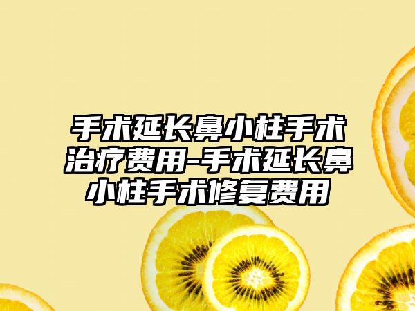 手术延长鼻小柱手术治疗费用-手术延长鼻小柱手术修复费用