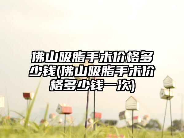 佛山吸脂手术价格多少钱(佛山吸脂手术价格多少钱一次)