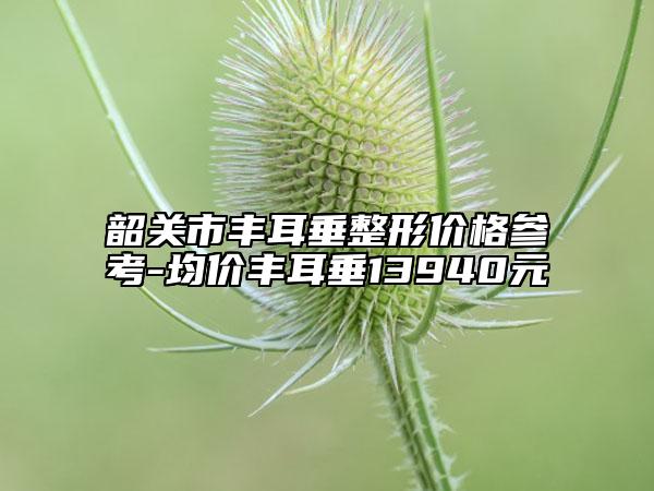 韶关市丰耳垂整形价格参考-均价丰耳垂13940元