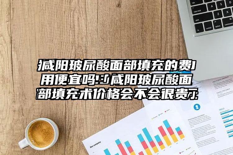 咸阳玻尿酸面部填充的费用便宜吗「咸阳玻尿酸面部填充术价格会不会很贵」