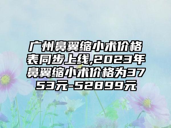 广州鼻翼缩小术价格表同步上线,2023年鼻翼缩小术价格为3753元-52899元