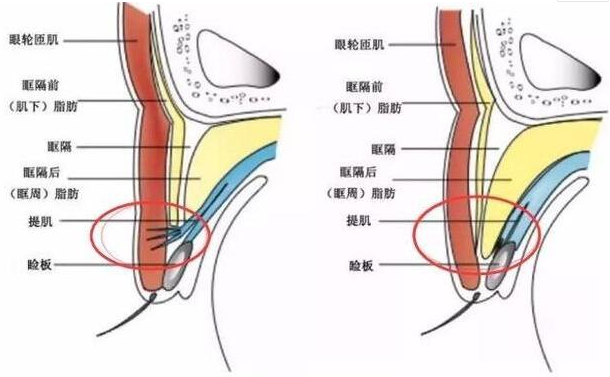 QQ浏览器截图20210908175425.png